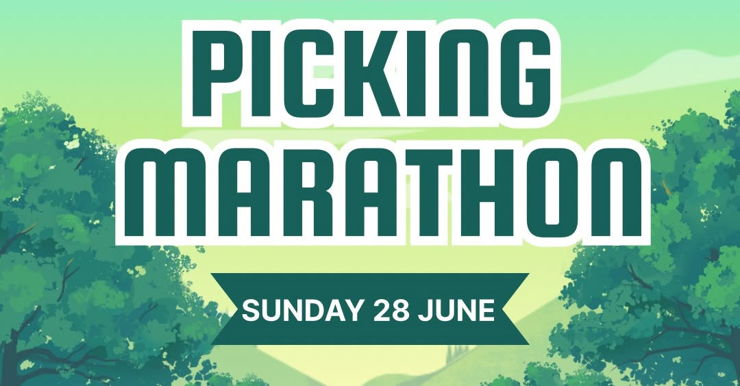 Avondale Young Farmers Litter Picking Marathon