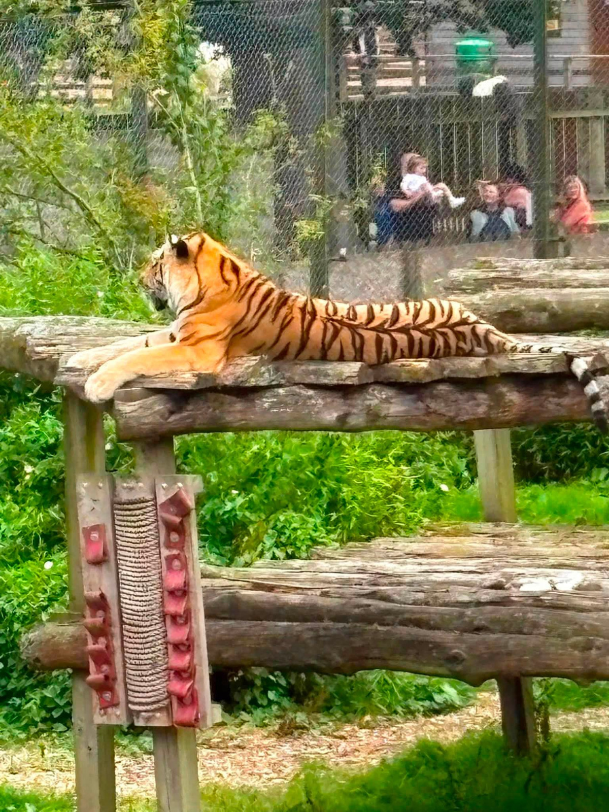 Our Annual Blair Drummond Safari Park Trip